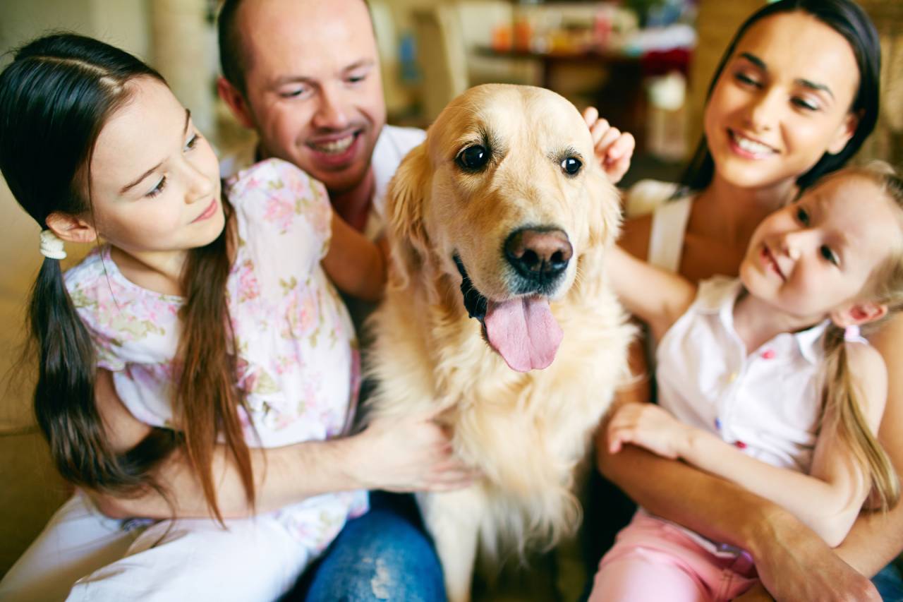 Family enjoying time together, petting a golden retriever dog with smiles and warm expressions.