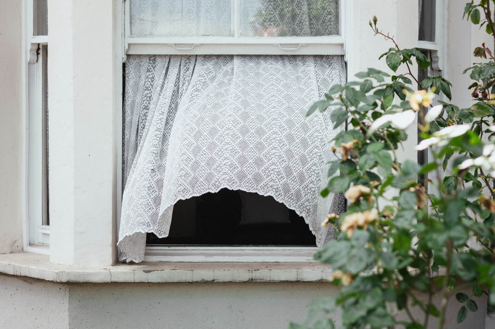 White lace curtain drapes over a window surrounded by green leaves and soft flower blooms.
